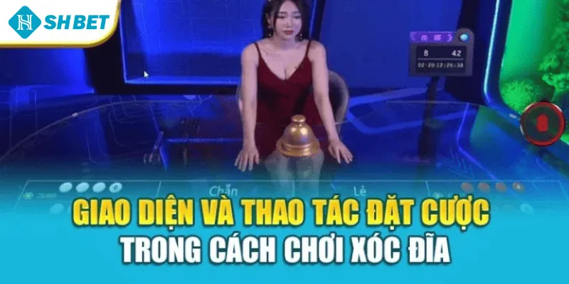 Giao diện và thao tác đặt cược trong cách chơi xóc đĩa